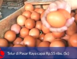 Waduh, Harga Telur Di Pasar Raya Padang Satu Rak Capai Rp. 55 Ribu