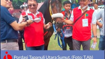 Tiga Kuda Pordasi Taput Sumut Ikuti Kejuaraan Pacuan Kuda di Payakumbuh