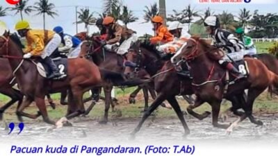 7 Kuda Sumbar Berpacu di Kejuaraan Pacuan Kuda Susi Air Nusantara Derby di Pangandaran