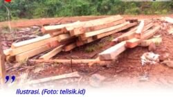 Tanggapi Maraknya Kasus Illegal logging, Tim Intelkam Polda Sumbar Pantau Peredaran Kayu