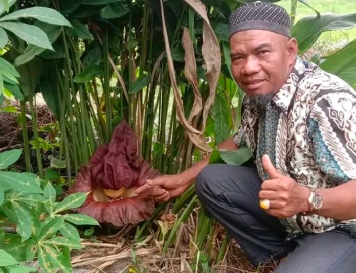 Sei baru