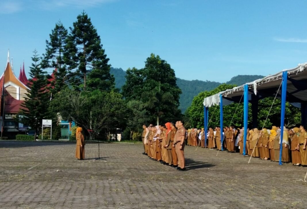 Solok