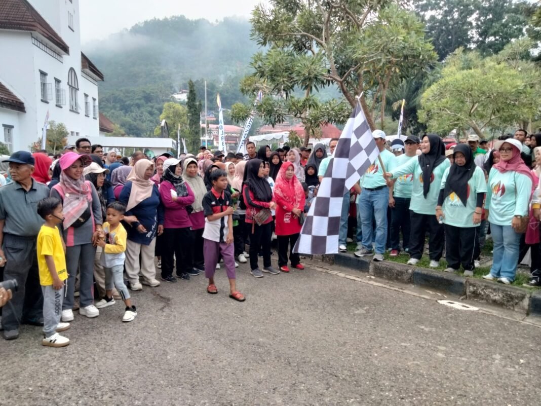 Bukittinggi asam