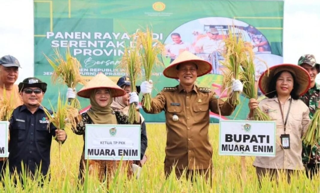 Muara enim