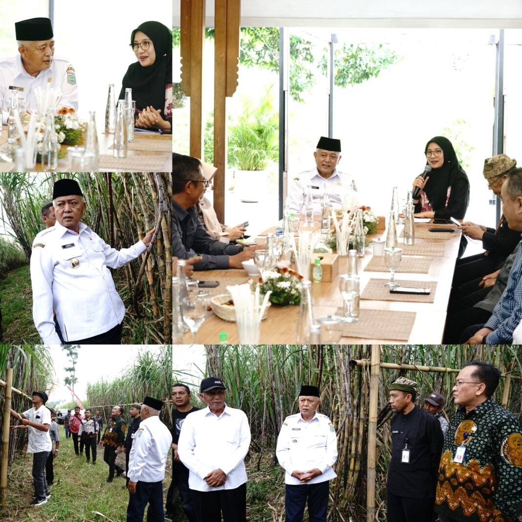Malang
