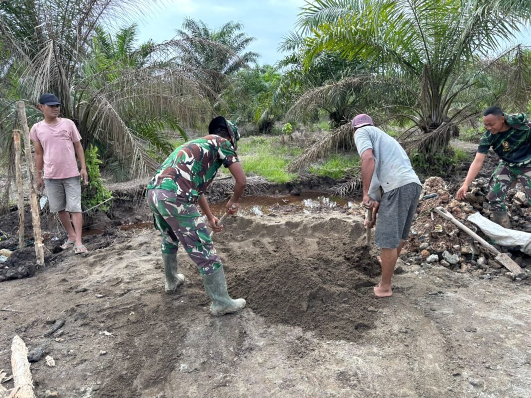 Tni