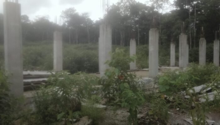 Proyek