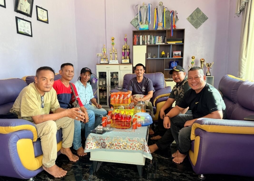 Pulau muda