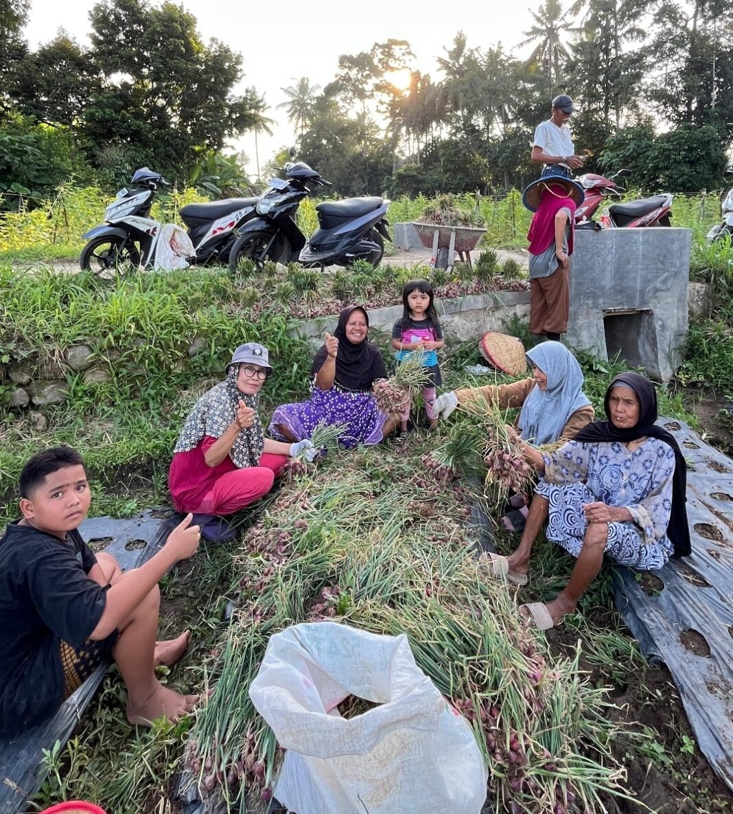 Kelompok tani