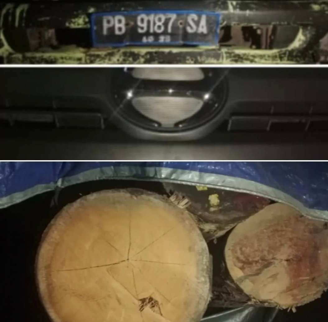 Kayu