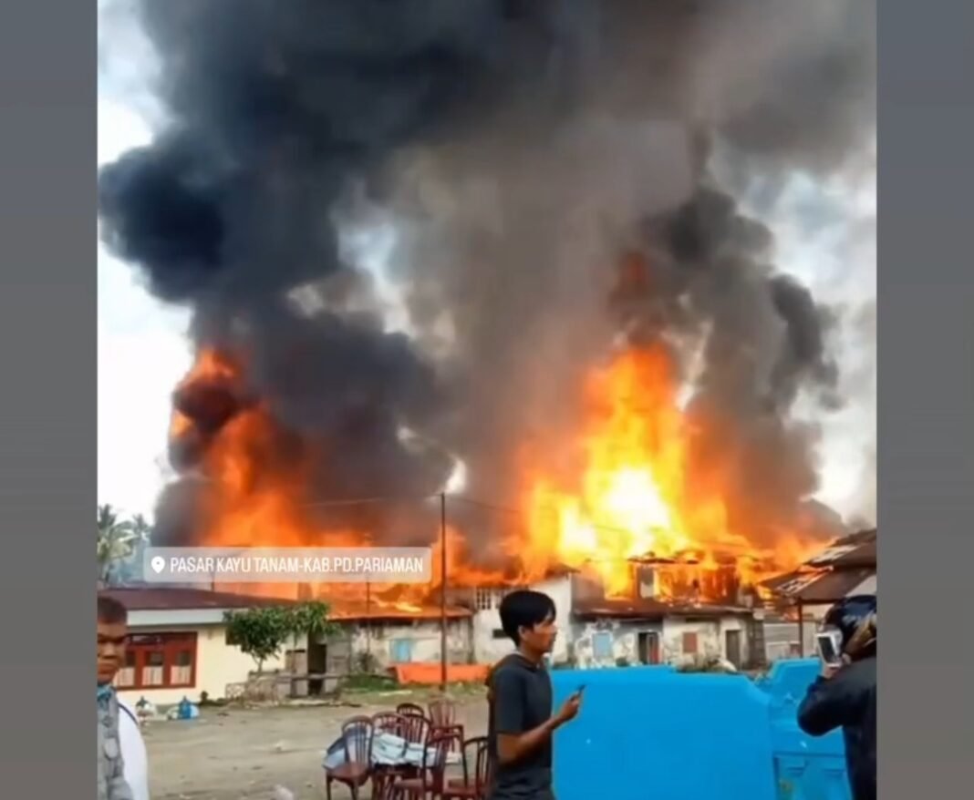 Pasar kayu tanam