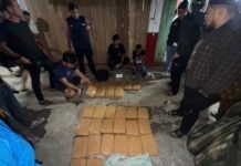 Jaringan Ganja Sumut–Sumbar Dibongkar, 29,8 Kg Barang Haram Disita